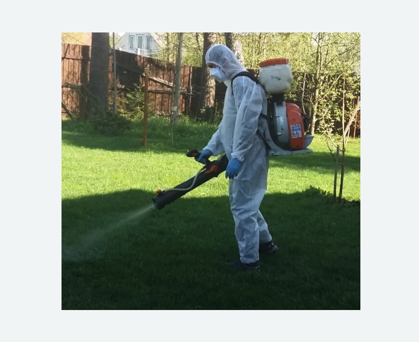 Обработка территории от клещей в Пугачеве