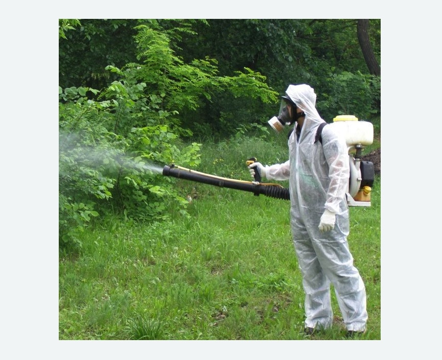 обработка территории от клещей в Пугачеве