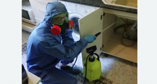 Уничтожение муравьев в квартире. Пугачев