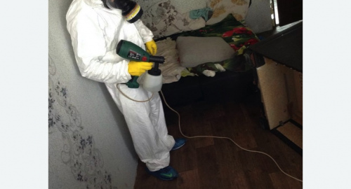 Обработка квартир от насекомых в Пугачеве