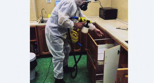 Дезинсекция квартиры. Пугачев