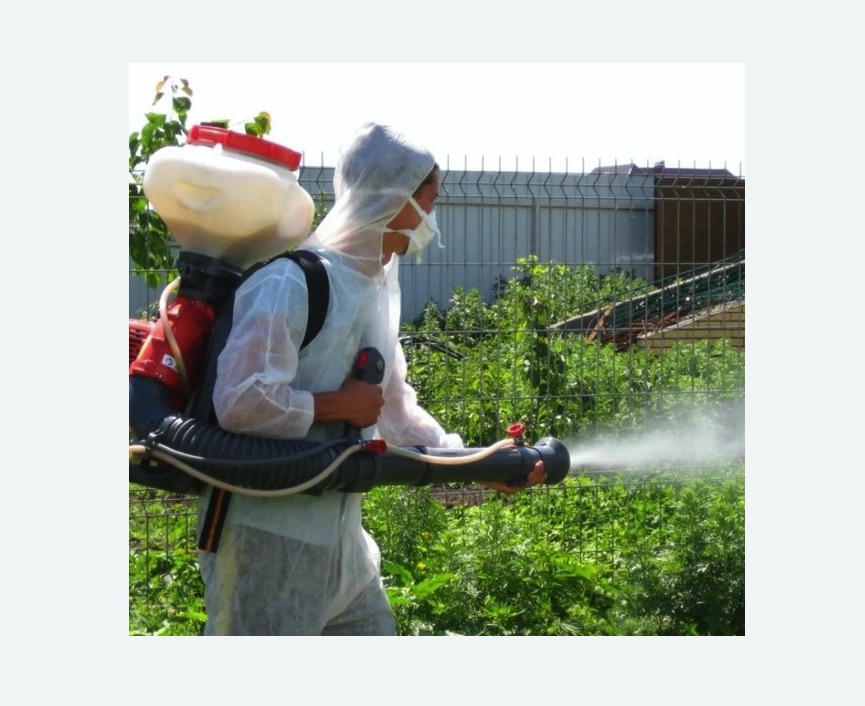 Акарицидная обработка территории в Пугачеве