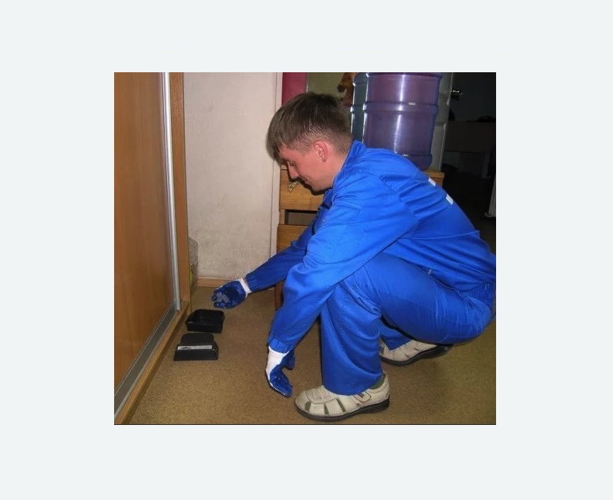 Дератизация крыс в Пугачеве