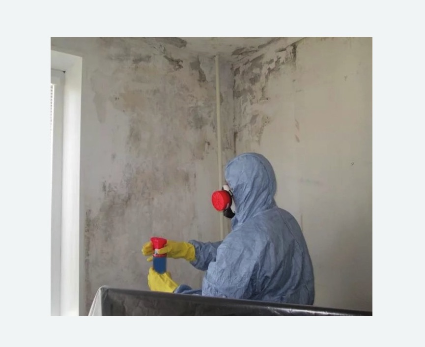 Удаление плесени в квартире в Пугачеве