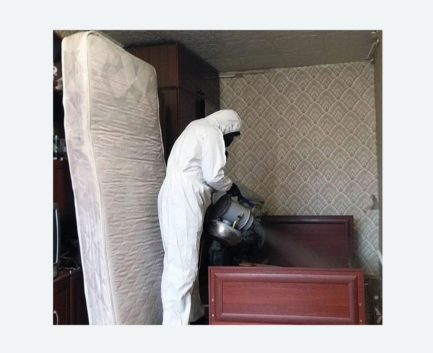 дезинфекция от клопов в Пугачеве