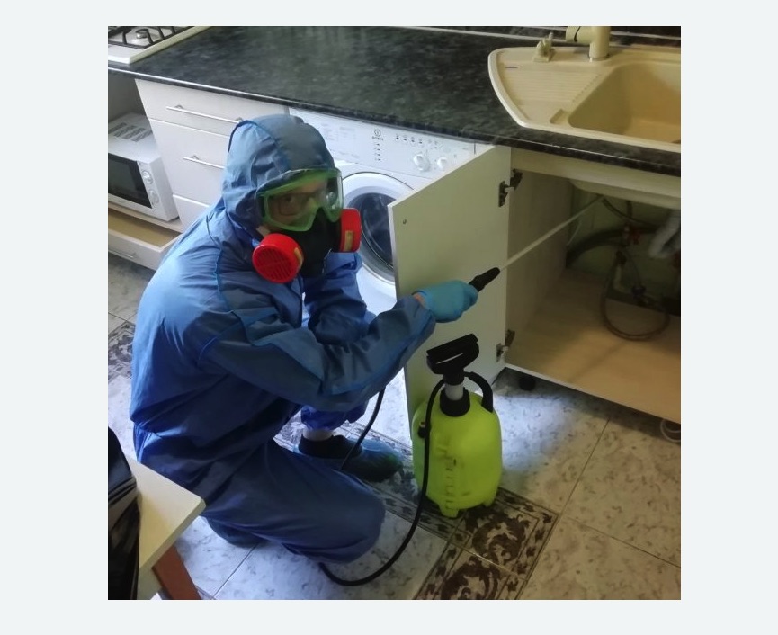 обработка от муравьев в квартире в Пугачеве