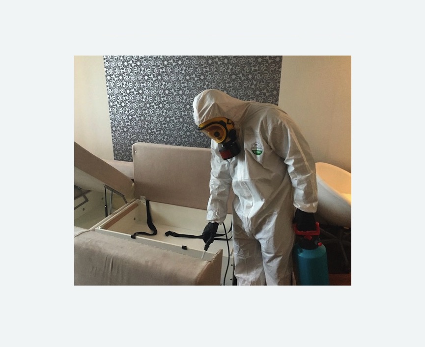 уничтожение клопов в квартире в Пугачеве