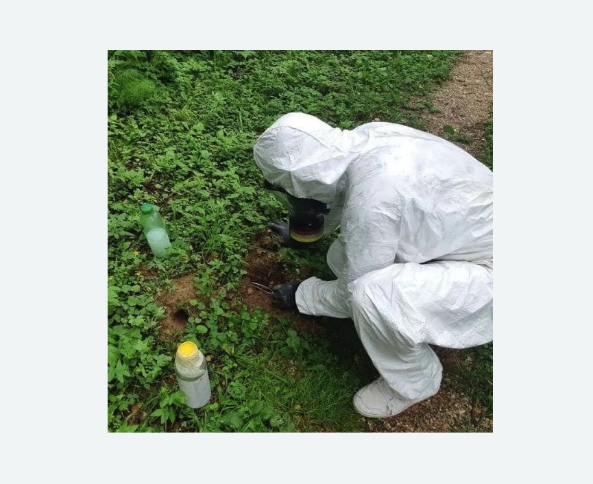 уничтожение кротов на участке в Пугачеве