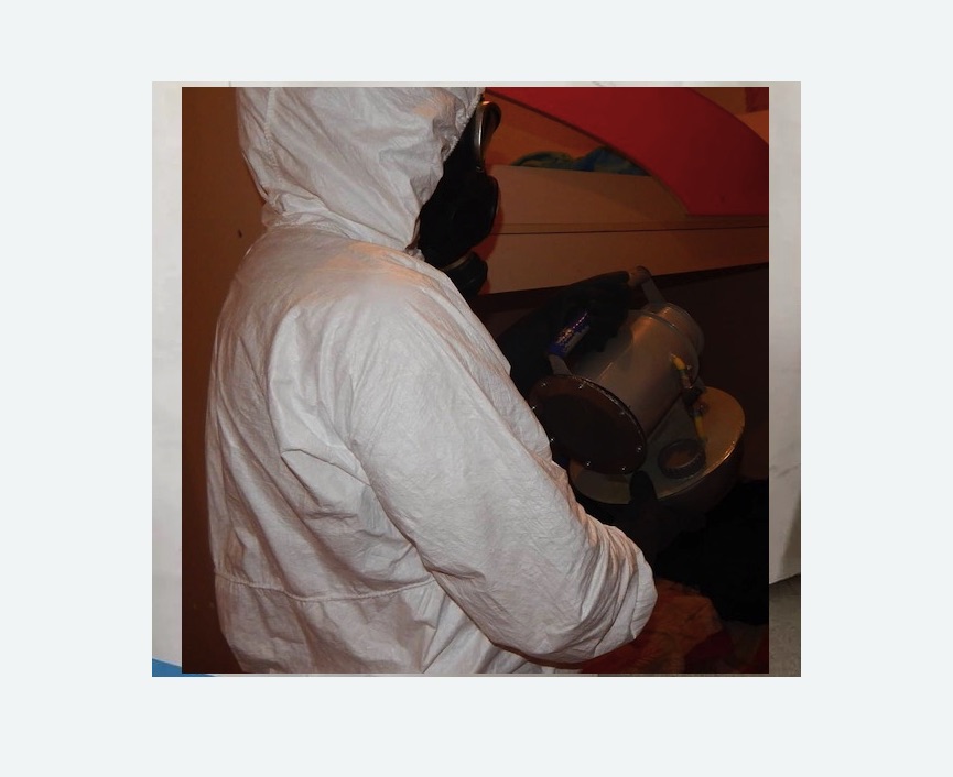 Дезинфекция от муравьев в Пугачеве